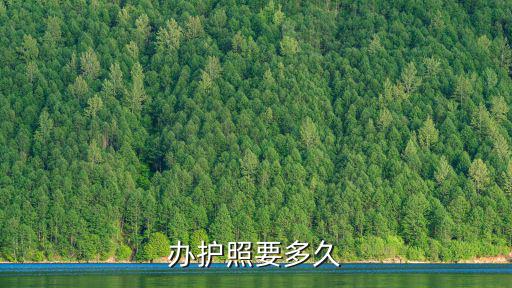 辦護(hù)照要多久