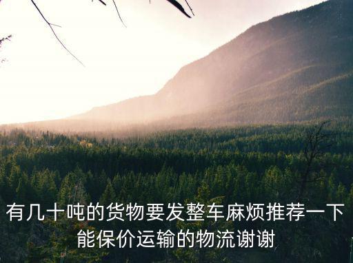 有幾十噸的貨物要發整車麻煩推薦一下能保價運輸的物流謝謝