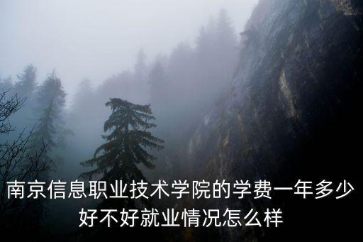 南京信息職業(yè)學(xué)院，南京信息職業(yè)信息技術(shù)學(xué)院是不是公辦