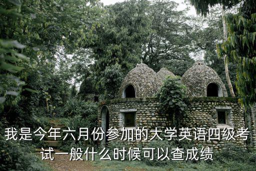 我是今年六月份參加的大學英語四級考試一般什么時候可以查成績