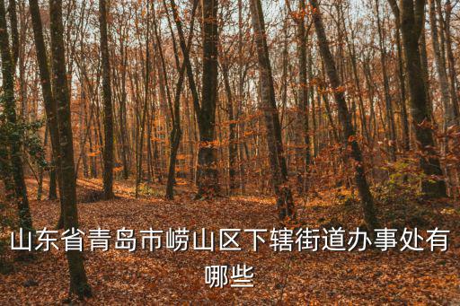 山東省青島市嶗山區下轄街道辦事處有哪些