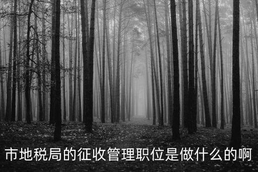 市地稅局的征收管理職位是做什么的啊