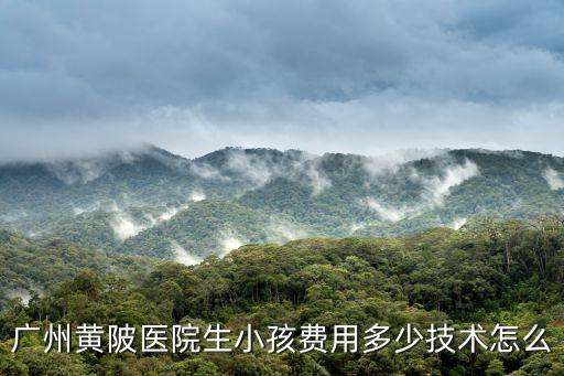 廣州黃陂醫院生小孩費用多少技術怎么