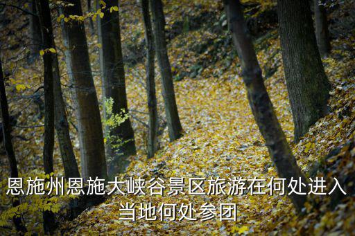 恩施州恩施大峽谷景區(qū)旅游在何處進(jìn)入當(dāng)?shù)睾翁巺F(tuán)