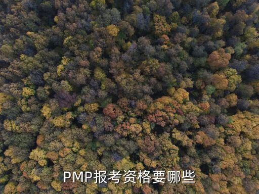 PMP報(bào)考資格要哪些