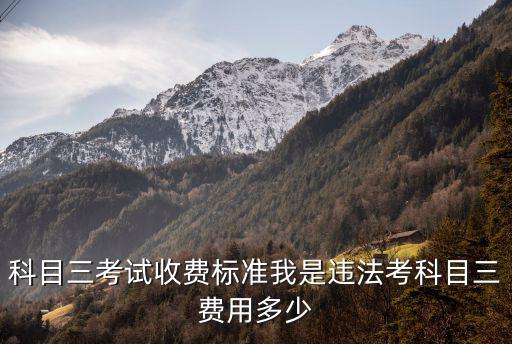 科目三考試費(fèi)，一般科目三考試費(fèi)是給教練幫忙交的嗎