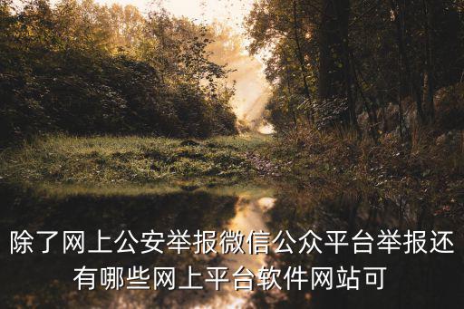 除了網上公安舉報微信公眾平臺舉報還有哪些網上平臺軟件網站可
