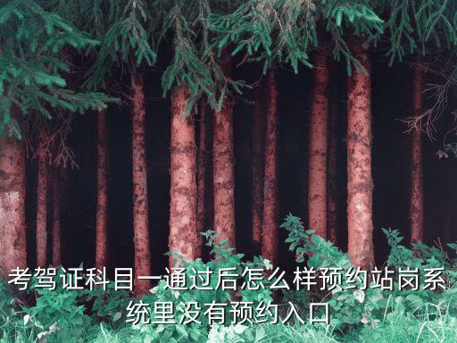 考駕證科目一通過后怎么樣預約站崗系統里沒有預約入口