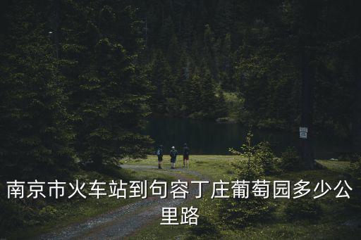 句容丁莊葡萄園，丁莊葡萄園句容丁莊茅山丁莊怎么走