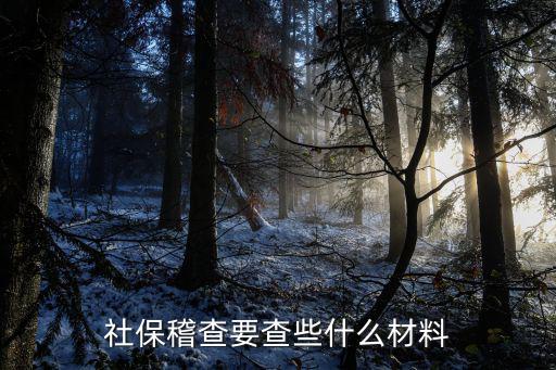 社保稽查要查些什么材料