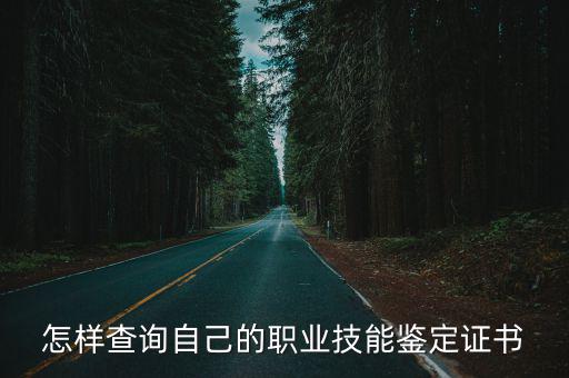 怎樣查詢自己的職業(yè)技能鑒定證書(shū)