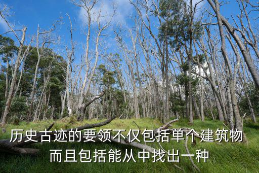 歷史古跡的要領不僅包括單個建筑物 而且包括能從中找出一種