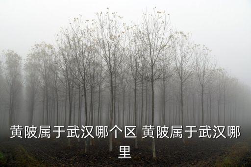 黃陂屬于武漢哪個區 黃陂屬于武漢哪里