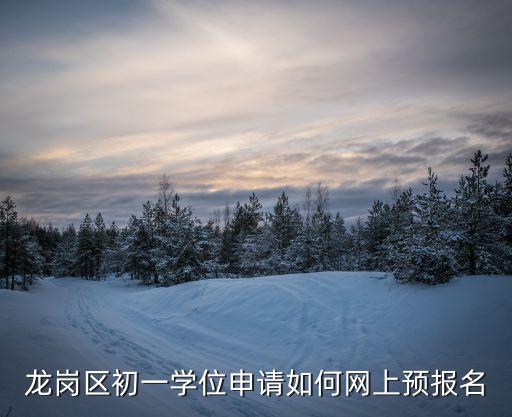 龍崗區初一學位申請如何網上預報名