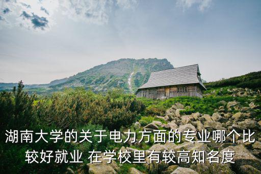 湖南大學的關于電力方面的專業(yè)哪個比較好就業(yè) 在學校里有較高知名度