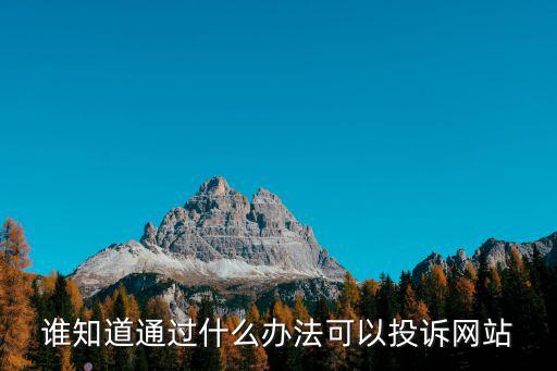 誰知道通過什么辦法可以投訴網站