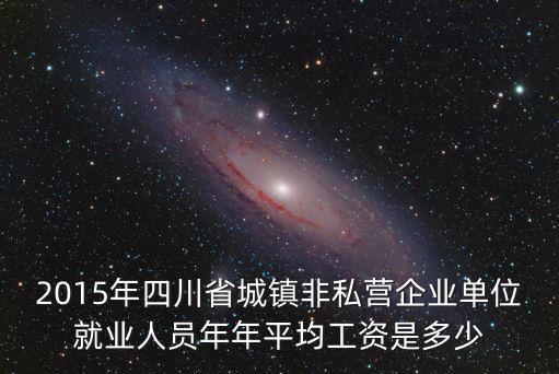 2015年四川省城鎮非私營企業單位就業人員年年平均工資是多少