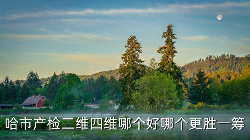 哈市產檢三維四維哪個好哪個更勝一籌