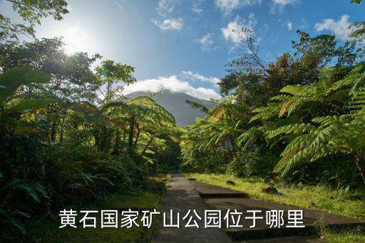 黃石國家礦山公園位于哪里