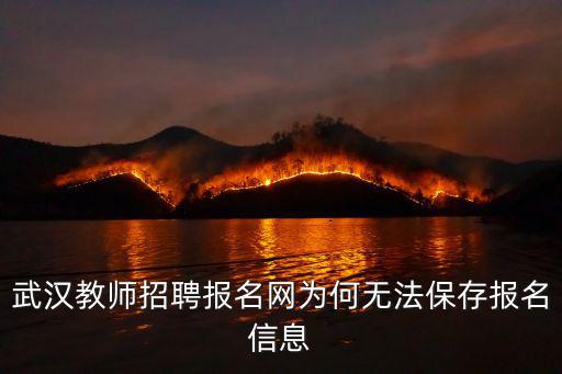 武漢教師招聘報(bào)名網(wǎng)為何無法保存報(bào)名信息