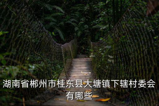 湖南省郴州市桂東縣大塘鎮下轄村委會有哪些