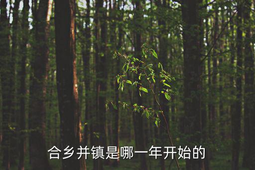 合鄉(xiāng)并鎮(zhèn)是哪一年開始的