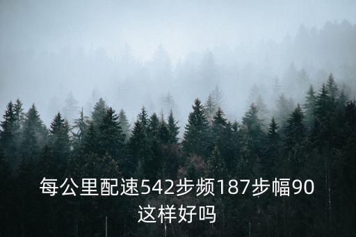 每公里配速542步頻187步幅90這樣好嗎