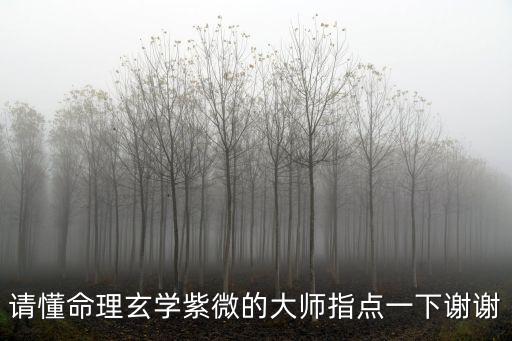 月老玄七，天庭里玉皇大帝的部下有哪些托塔李天王楊戩哪吒還有嗎主