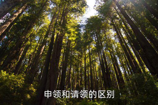 申領(lǐng)和請領(lǐng)的區(qū)別