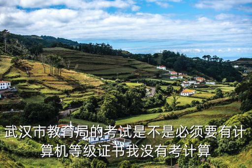 武漢市教育局的考試是不是必須要有計算機等級證書我沒有考計算