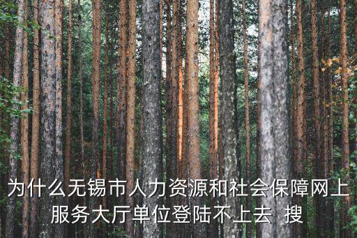 社會保障網(wǎng)上服務(wù)大廳，為什么無錫市人力資源和社會保障網(wǎng)上服務(wù)大廳單位登陸不上去  搜