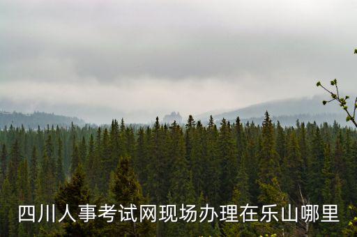 四川人事考試網(wǎng)現(xiàn)場辦理在樂山哪里