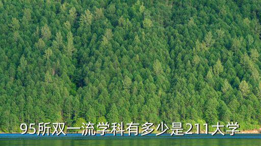 95所雙一流學科有多少是211大學