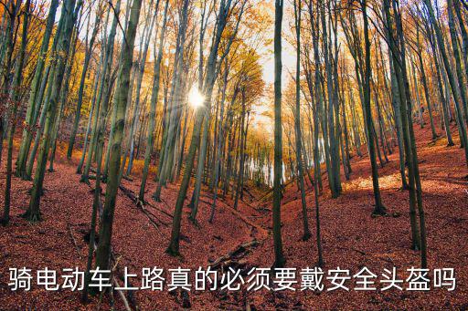 騎電動車上路真的必須要戴安全頭盔嗎