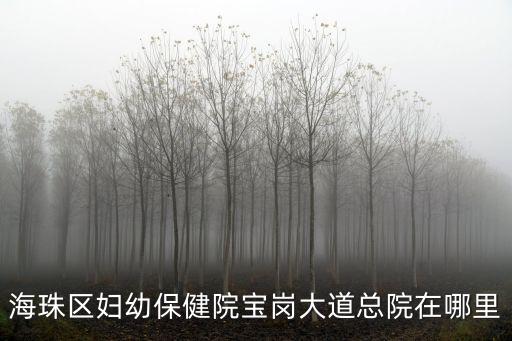 海珠區婦幼保健院寶崗大道總院在哪里