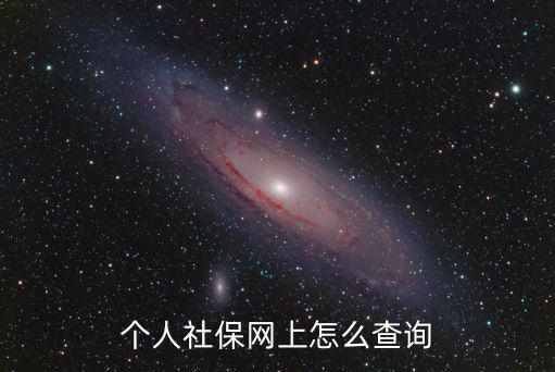 個(gè)人社保網(wǎng)上怎么查詢
