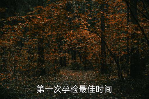 第一次孕檢最佳時間