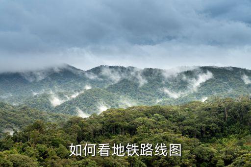 如何看地鐵路線圖