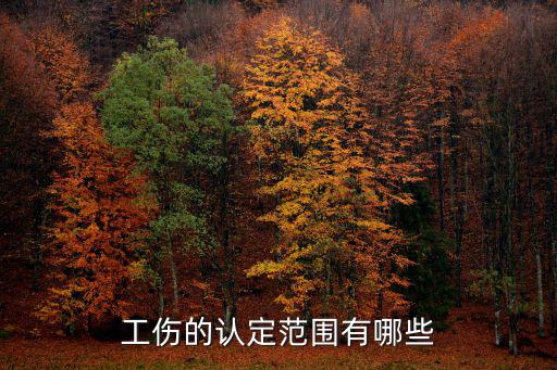 工傷的認(rèn)定范圍有哪些