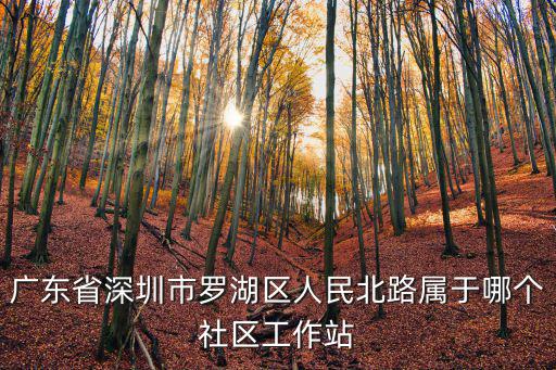 社區工作站，到社區工作站好還是辦理做社保工作好目前此工作屬于臨時工  搜