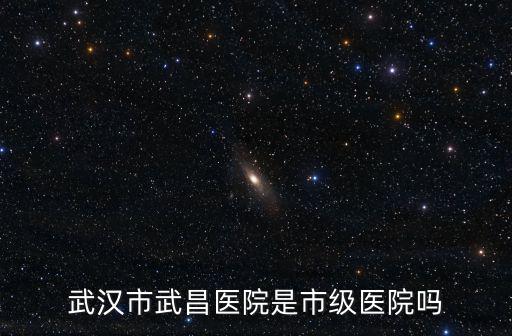 武漢市武昌醫院是市級醫院嗎