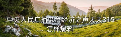 中央人民廣播電臺經濟之聲天天315怎樣爆料