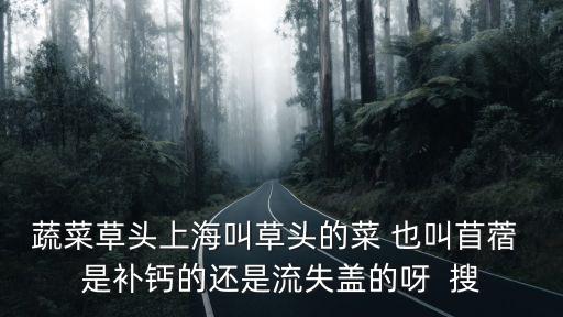 草頭是什么菜，草頭菜和三葉草是同一種植物嗎