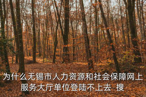 為什么無(wú)錫市人力資源和社會(huì)保障網(wǎng)上服務(wù)大廳單位登陸不上去  搜