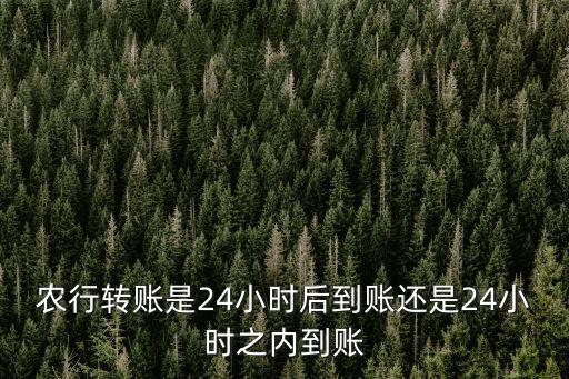 農行轉賬是24小時后到賬還是24小時之內到賬