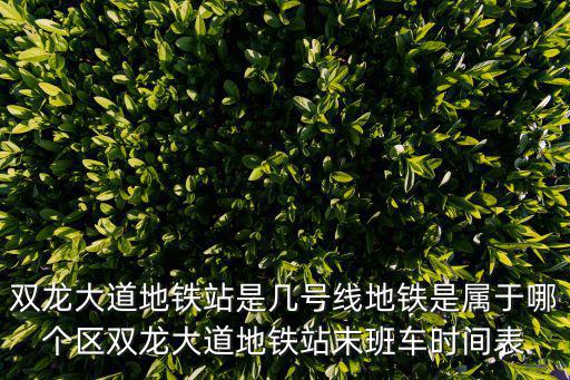 雙龍大道地鐵站是幾號線地鐵是屬于哪個區雙龍大道地鐵站末班車時間表