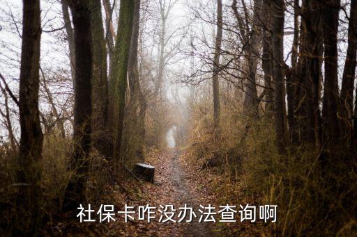 社保卡咋沒(méi)辦法查詢啊