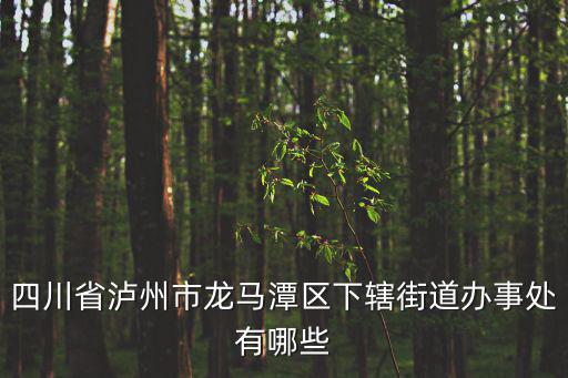 瀘州龍馬潭區(qū)，四川省瀘州市龍馬潭區(qū)下轄街道辦事處有哪些