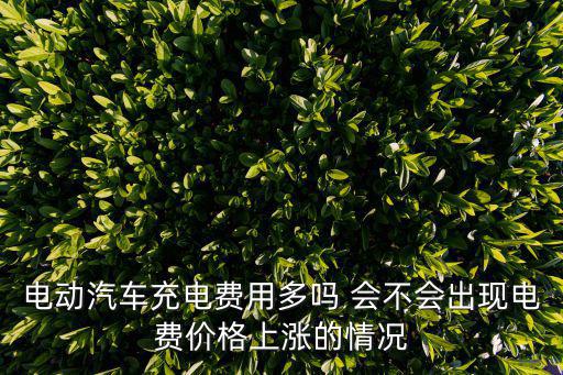 電動汽車充電費用多嗎 會不會出現電費價格上漲的情況