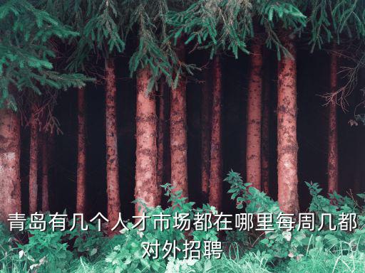 青島有幾個(gè)人才市場(chǎng)都在哪里每周幾都對(duì)外招聘